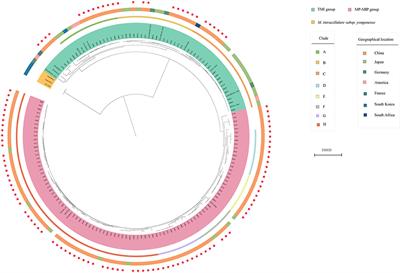 High diversity of clinical Mycobacterium intracellulare in China revealed by whole genome sequencing